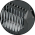 Maeander